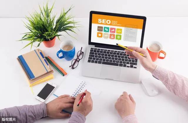 京东拍卖巴掌大野生黑松露